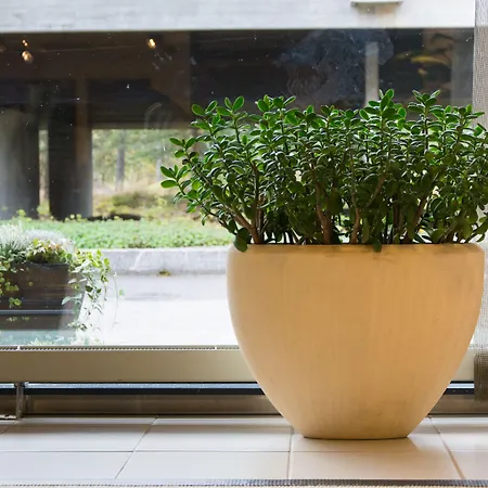 Szálloda Korpilampi 4*