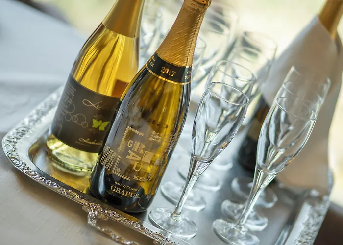 ホテル コルピランピ 4*